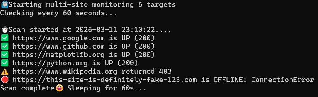 Terminal Screenshot